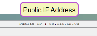 Public IP Address